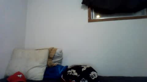 11dal11 online show from August 2026 06:59:01 AM