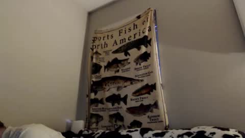 18str8igcock online show from November 2025 10:56:02 PM