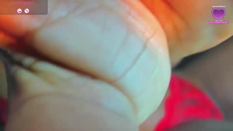 19pamelo online show from November 2025 03:32:02 PM