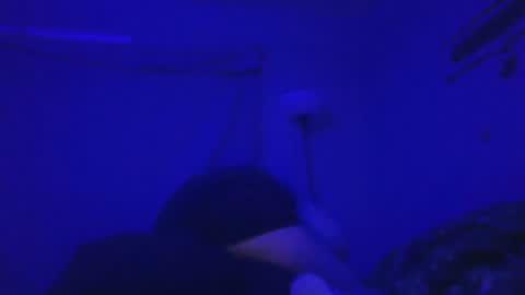 20dollarsis20 online show from March 2026 10:21:02 AM