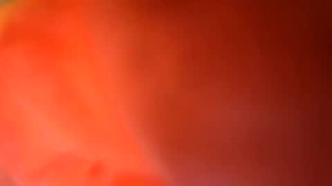24cockrings online show from May 2026 07:43:02 PM