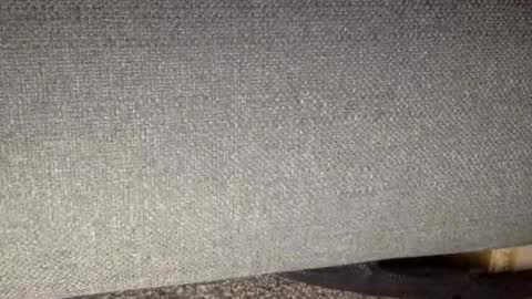 30nick online show from March 2026 09:06:02 AM