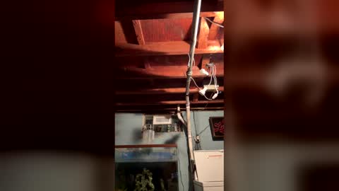 33adidas online show from March 2026 08:20:02 AM