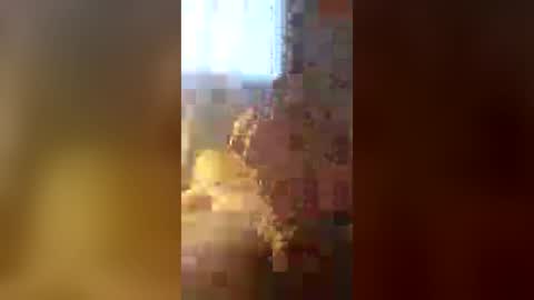 Zeus online show from July 2026 11:51:01 PM