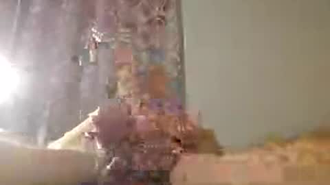 Zeus online show from July 2026 01:33:01 AM