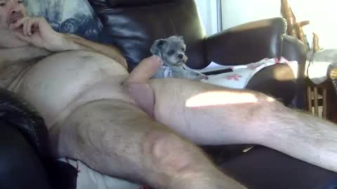 Snapshot of 66bear chatting on October 2025 11:41:02 AM 66bear online show from October 2025 11:41:02 AM