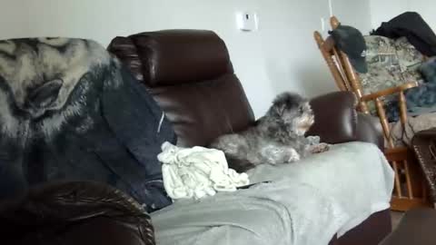 Snapshot of 66bear chatting on December 2025 02:02:02 PM 66bear online show from December 2025 02:02:02 PM