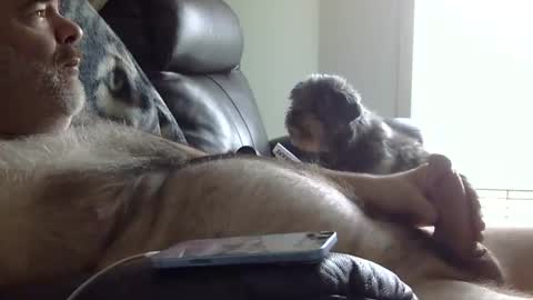 Snapshot of 66bear chatting on May 2026 02:24:02 PM 66bear online show from May 2026 02:24:02 PM