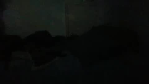 69696977 online show from April 2026 05:19:08 AM