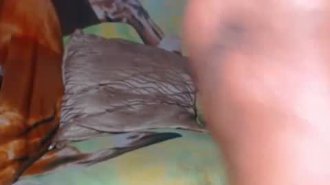 kendra1811 is my X networks I HOPE YOU FOLLOW ME THANKS online show from March 2026 05:57:02 PM