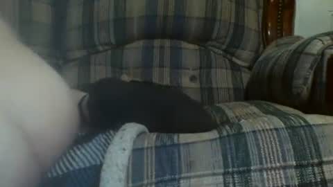 69sextoyboy69 online show from January 2025 12:31:01 PM