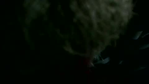 69sextoyboy69 online show from December 2025 05:38:02 AM