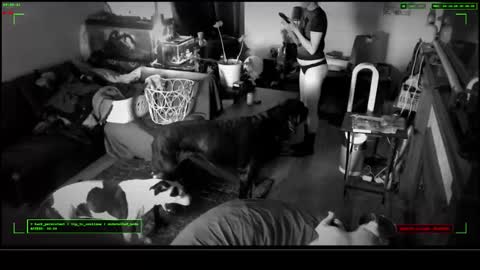 Snapshot of 6vyr_vlt9 chatting on December 2025 04:57:02 PM Voyeur Vault online show from December 2025 04:57:02 PM