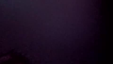 7025554570b online show from November 2025 11:32:01 AM