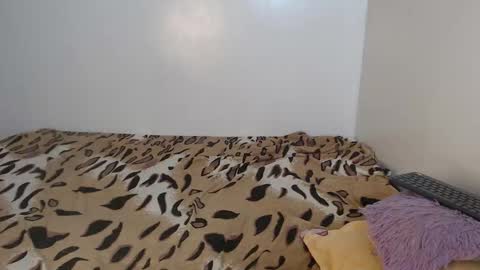 SunFlower online show from February 2026 05:06:01 AM