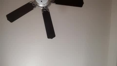 82ragnarok online show from January 2025 04:06:01 PM