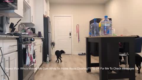 888lucky online show from February 2026 02:19:01 AM