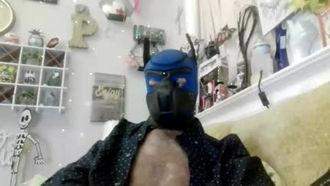 90210screamer online show from March 2026 11:06:01 AM