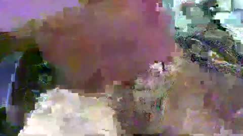 99zeus9 online show from January 2025 12:36:01 PM