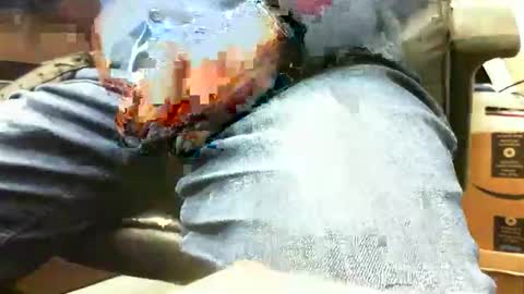 99zeus9 online show from November 2025 03:44:01 PM