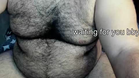 Snapshot of _alan_bear_ chatting on December 2024 03:53:01 PM Alan online show from December 2024 03:53:01 PM