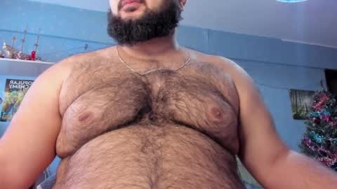 Snapshot of _alan_bear_ chatting on January 2025 09:57:02 AM Alan online show from January 2025 09:57:02 AM