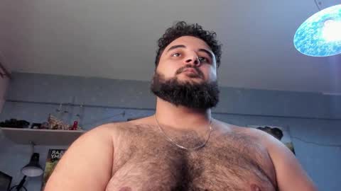 Snapshot of _alan_bear_ chatting on January 2025 02:30:02 PM Alan online show from January 2025 02:30:02 PM