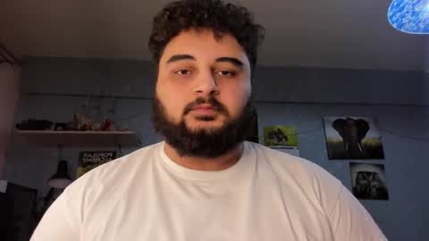 Snapshot of _alan_bear_ chatting on January 2025 06:03:02 PM Alan online show from January 2025 06:03:02 PM