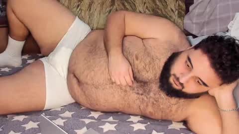 Snapshot of _alan_bear_ chatting on February 2025 01:16:01 PM Alan online show from February 2025 01:16:01 PM