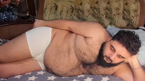 Snapshot of _alan_bear_ chatting on February 2025 05:31:02 PM Alan online show from February 2025 05:31:02 PM