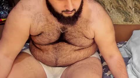 Snapshot of _alan_bear_ chatting on February 2025 03:49:02 PM Alan online show from February 2025 03:49:02 PM