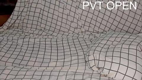 Snapshot of _alan_bear_ chatting on March 2025 08:27:02 PM Alan online show from March 2025 08:27:02 PM