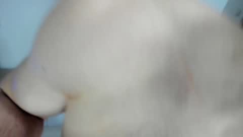 Alex online show from January 2025 12:54:02 PM