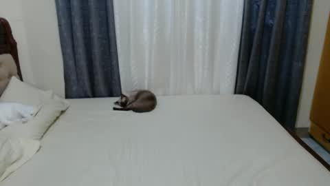 Snapshot of _amberxxx chatting on December 2024 09:26:01 PM Amber online show from December 2024 09:26:01 PM