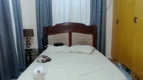 Snapshot of _amberxxx chatting on January 2025 05:39:01 PM Amber online show from January 2025 05:39:01 PM