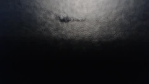 Anne online show from January 2025 09:20:02 PM