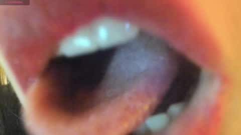 antonia online show from September 2025 04:34:02 PM