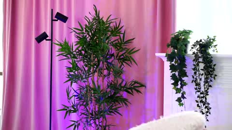 Arielle online show from December 2024 01:07:02 PM