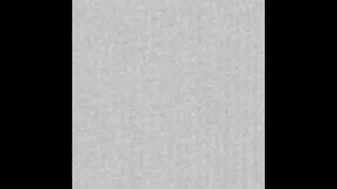 Brenda online show from February 2025 12:36:01 PM