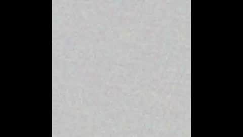 Brenda online show from February 2025 12:48:02 PM