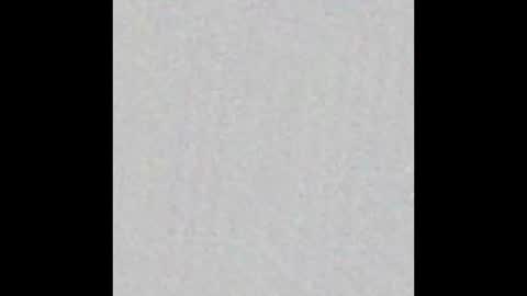 Brenda online show from March 2025 11:40:01 AM