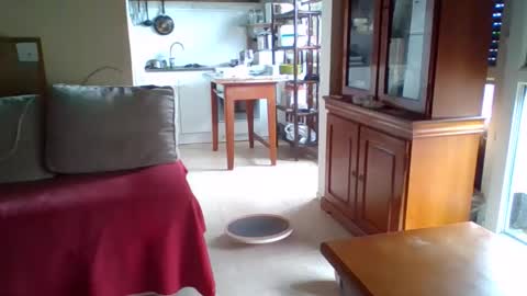 _bubble_buttfunxxx online show from October 2025 09:41:02 AM