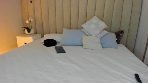 Dara online show from February 2025 11:48:01 PM