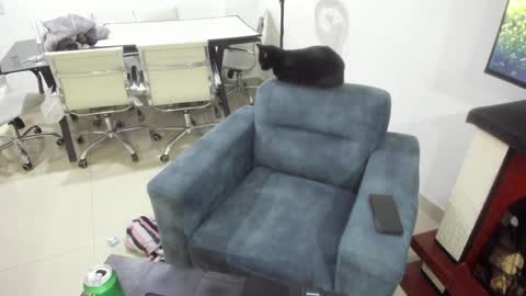 Snapshot of _emma_loyd_ chatting on January 2025 01:15:01 AM Emma online show from January 2025 01:15:01 AM