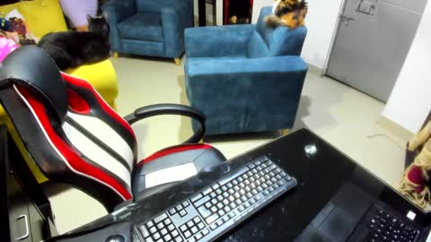 Snapshot of _emma_loyd_ chatting on February 2025 12:53:02 AM Emma online show from February 2025 12:53:02 AM