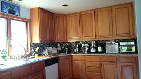 Snapshot of _frankie_rivers chatting on March 2025 10:58:01 PM Frankie Rivers allmylinks online show from March 2025 10:58:01 PM