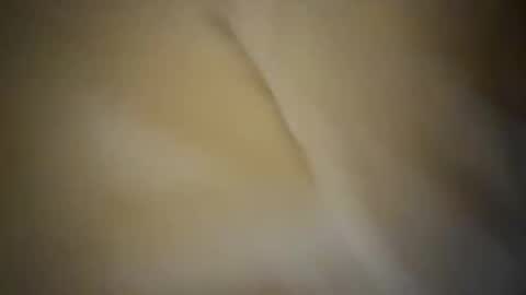 Ginger boy online show from September 2025 10:04:01 PM