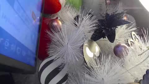 Cata  online show from November 2025 03:10:02 AM