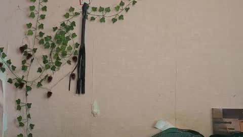 _kikiclark_ online show from February 2026 09:20:01 AM