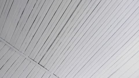 Ivy 3 online show from December 2024 05:04:01 AM